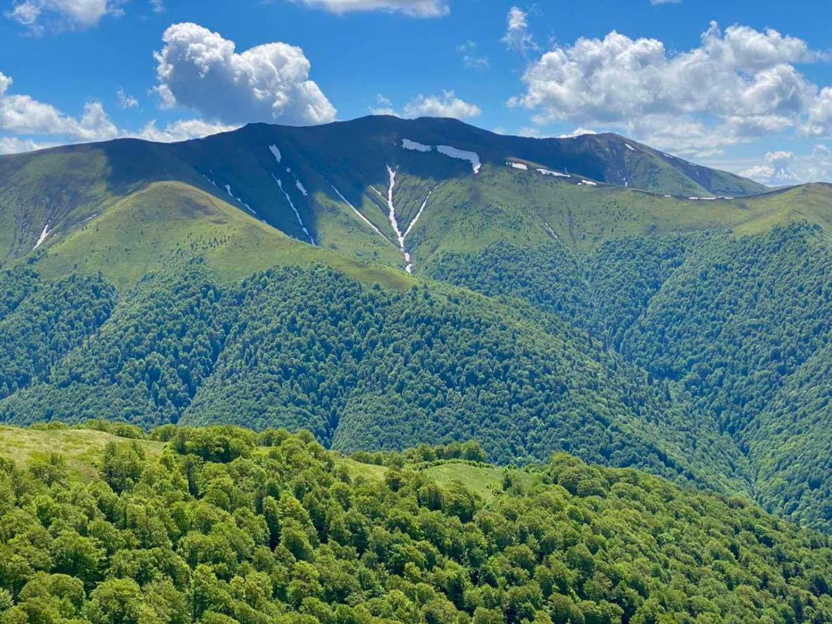 Під Боржавою Volovets Exterior photo