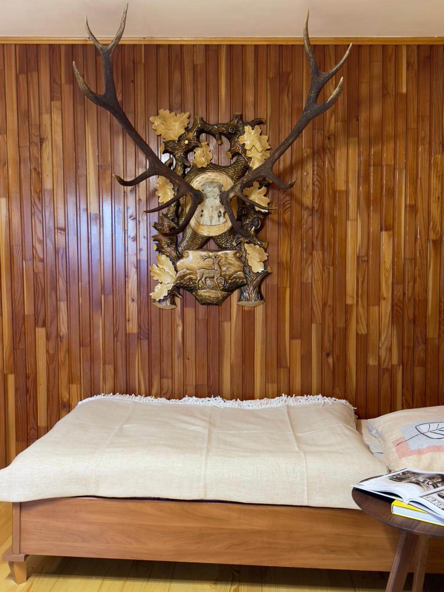 Під Боржавою Volovets Room photo