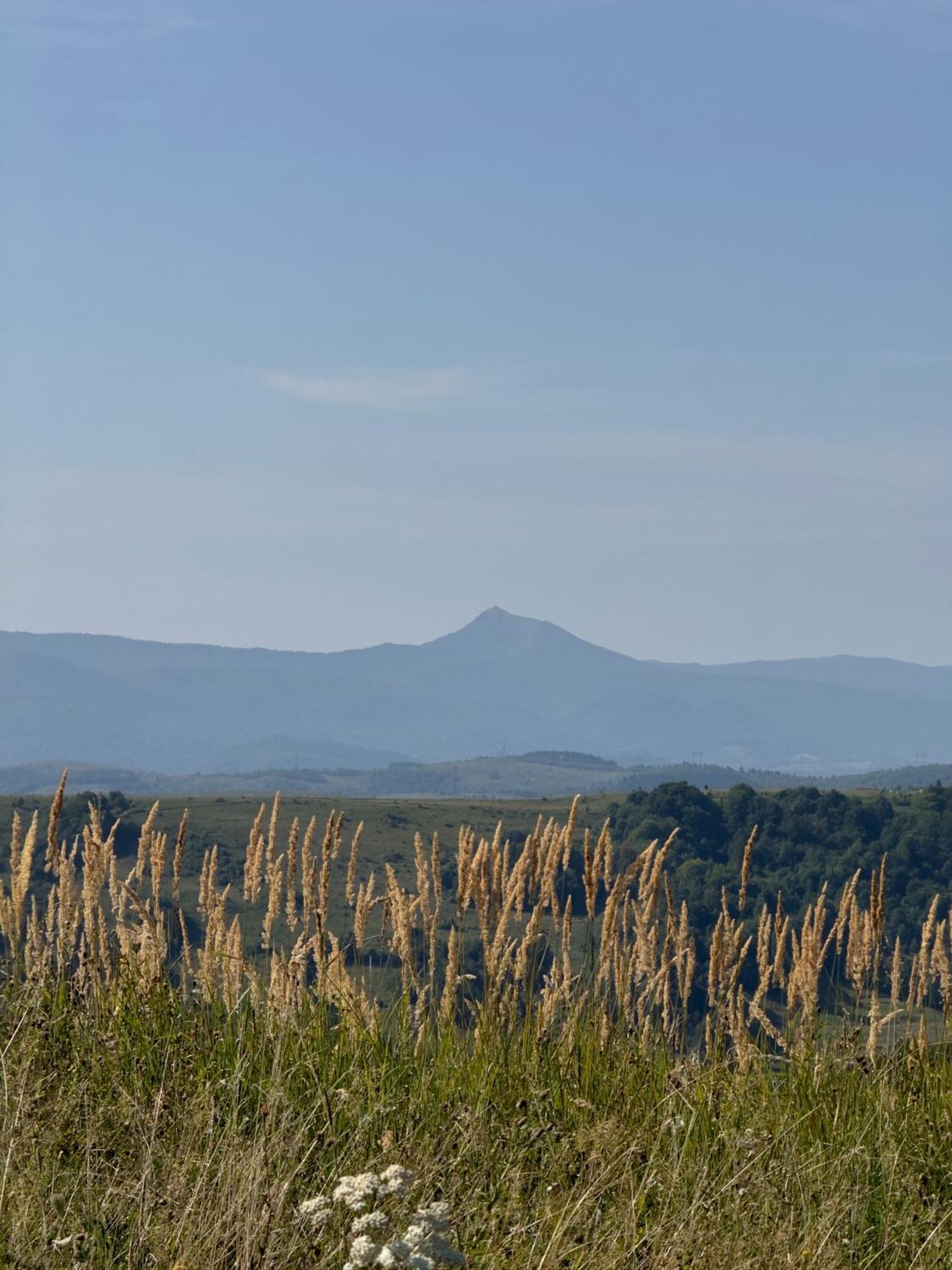 Під Боржавою Volovets Exterior photo